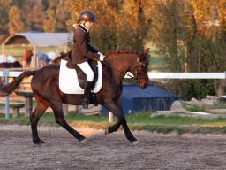 IMG_8128_web